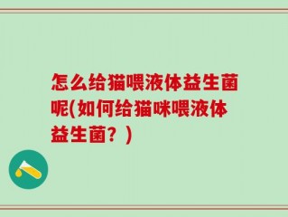 怎么给猫喂液体益生菌呢(如何给猫咪喂液体益生菌？)