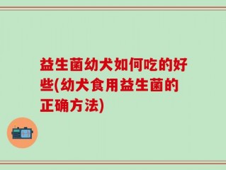 益生菌幼犬如何吃的好些(幼犬食用益生菌的正确方法)