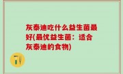 灰泰迪吃什么益生菌最好(最优益生菌：适合灰泰迪的食物)