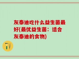 灰泰迪吃什么益生菌最好(最优益生菌：适合灰泰迪的食物)