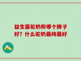 益生菌驼奶粉哪个牌子好？什么驼奶最纯最好
