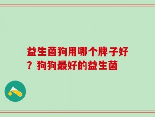 益生菌狗用哪个牌子好？狗狗最好的益生菌