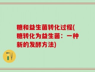 糖和益生菌转化过程(糖转化为益生菌：一种新的发酵方法)