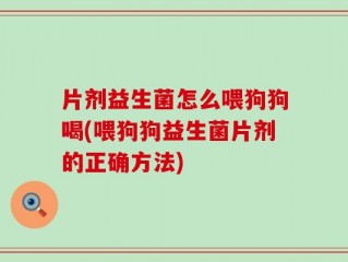片剂益生菌怎么喂狗狗喝(喂狗狗益生菌片剂的正确方法)