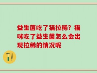 益生菌吃了猫拉稀？猫咪吃了益生菌怎么会出现拉稀的情况呢