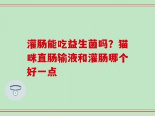 灌肠能吃益生菌吗？猫咪直肠输液和灌肠哪个好一点