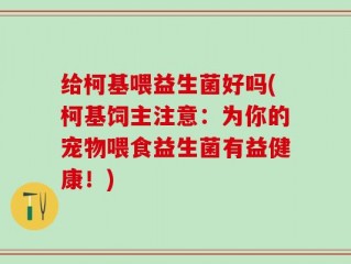 给柯基喂益生菌好吗(柯基饲主注意：为你的宠物喂食益生菌有益健康！)