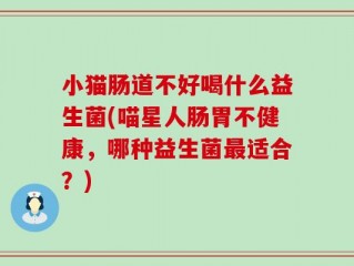 小猫肠道不好喝什么益生菌(喵星人肠胃不健康，哪种益生菌最适合？)