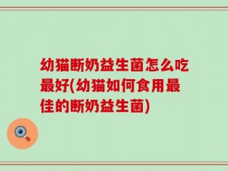 幼猫断奶益生菌怎么吃最好(幼猫如何食用最佳的断奶益生菌)