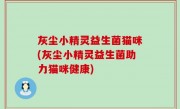 灰尘小精灵益生菌猫咪(灰尘小精灵益生菌助力猫咪健康)