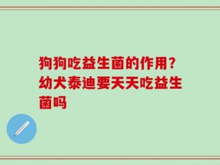 狗狗吃益生菌的作用？幼犬泰迪要天天吃益生菌吗