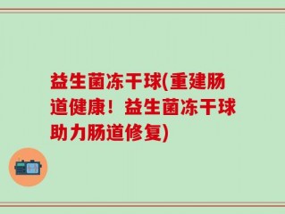 益生菌冻干球(重建肠道健康！益生菌冻干球助力肠道修复)