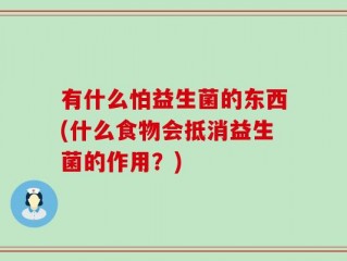 有什么怕益生菌的东西(什么食物会抵消益生菌的作用？)