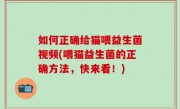 如何正确给猫喂益生菌视频(喂猫益生菌的正确方法，快来看！)