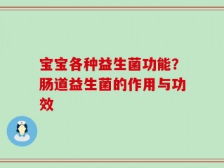 宝宝各种益生菌功能？肠道益生菌的作用与功效