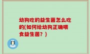 幼狗吃的益生菌怎么吃的(如何给幼狗正确喂食益生菌？)