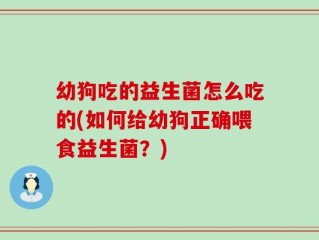 幼狗吃的益生菌怎么吃的(如何给幼狗正确喂食益生菌？)