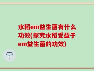 水稻em益生菌有什么功效(探究水稻受益于em益生菌的功效)