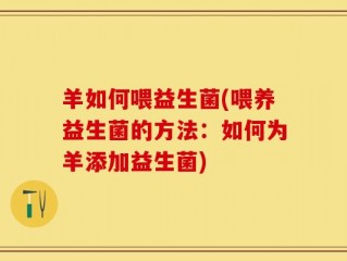 羊如何喂益生菌(喂养益生菌的方法：如何为羊添加益生菌)