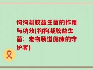狗狗凝胶益生菌的作用与功效(狗狗凝胶益生菌：宠物肠道健康的守护者)