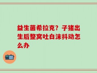 益生菌希拉克？子猪出生后整窝吐白沫抖动怎么办