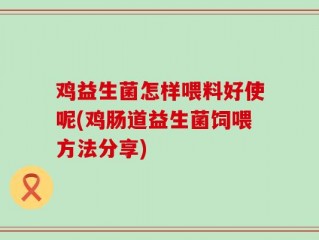 鸡益生菌怎样喂料好使呢(鸡肠道益生菌饲喂方法分享)