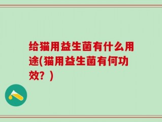 给猫用益生菌有什么用途(猫用益生菌有何功效？)