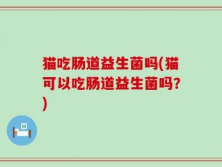 猫吃肠道益生菌吗(猫可以吃肠道益生菌吗？)