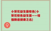 小葵花益生菌橙色(小葵花橙色益生菌——增强肠道健康之选)