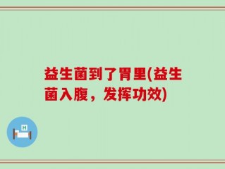 益生菌到了胃里(益生菌入腹，发挥功效)