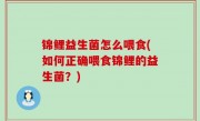 锦鲤益生菌怎么喂食(如何正确喂食锦鲤的益生菌？)