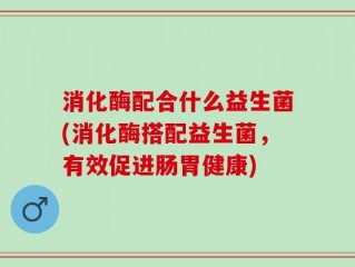 消化酶配合什么益生菌(消化酶搭配益生菌，有效促进肠胃健康)