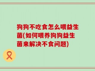 狗狗不吃食怎么喂益生菌(如何喂养狗狗益生菌来解决不食问题)