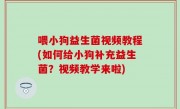 喂小狗益生菌视频教程(如何给小狗补充益生菌？视频教学来啦)