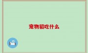 宠物貂吃什么