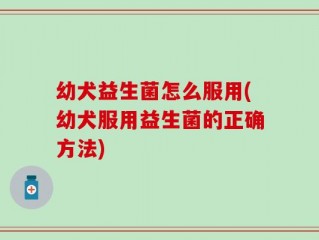 幼犬益生菌怎么服用(幼犬服用益生菌的正确方法)