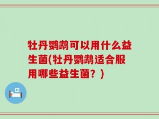 牡丹鹦鹉可以用什么益生菌(牡丹鹦鹉适合服用哪些益生菌？)
