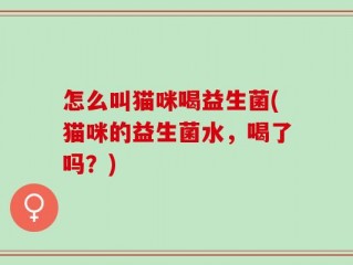 怎么叫猫咪喝益生菌(猫咪的益生菌水，喝了吗？)
