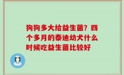 狗狗多大给益生菌？四个多月的泰迪幼犬什么时候吃益生菌比较好