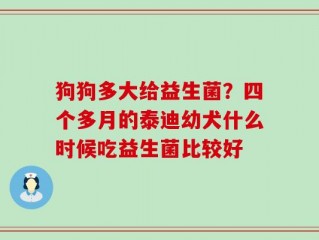狗狗多大给益生菌？四个多月的泰迪幼犬什么时候吃益生菌比较好