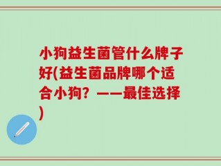 小狗益生菌管什么牌子好(益生菌品牌哪个适合小狗？——最佳选择)