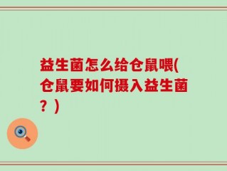 益生菌怎么给仓鼠喂(仓鼠要如何摄入益生菌？)