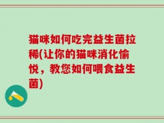 猫咪如何吃完益生菌拉稀(让你的猫咪消化愉悦，教您如何喂食益生菌)