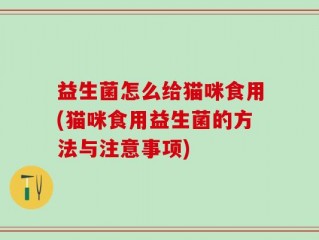 益生菌怎么给猫咪食用(猫咪食用益生菌的方法与注意事项)
