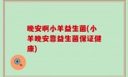 晚安啊小羊益生菌(小羊晚安靠益生菌保证健康)