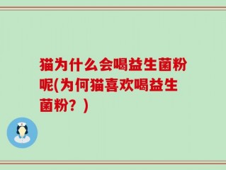 猫为什么会喝益生菌粉呢(为何猫喜欢喝益生菌粉？)