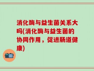 消化酶与益生菌关系大吗(消化酶与益生菌的协同作用，促进肠道健康)