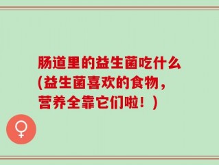 肠道里的益生菌吃什么(益生菌喜欢的食物，营养全靠它们啦！)