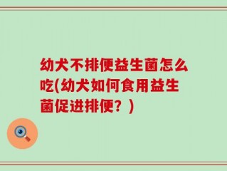 幼犬不排便益生菌怎么吃(幼犬如何食用益生菌促进排便？)