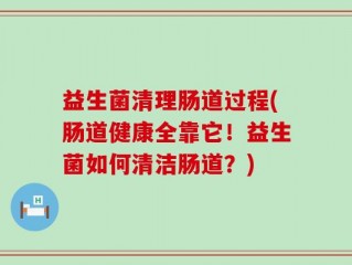 益生菌清理肠道过程(肠道健康全靠它！益生菌如何清洁肠道？)